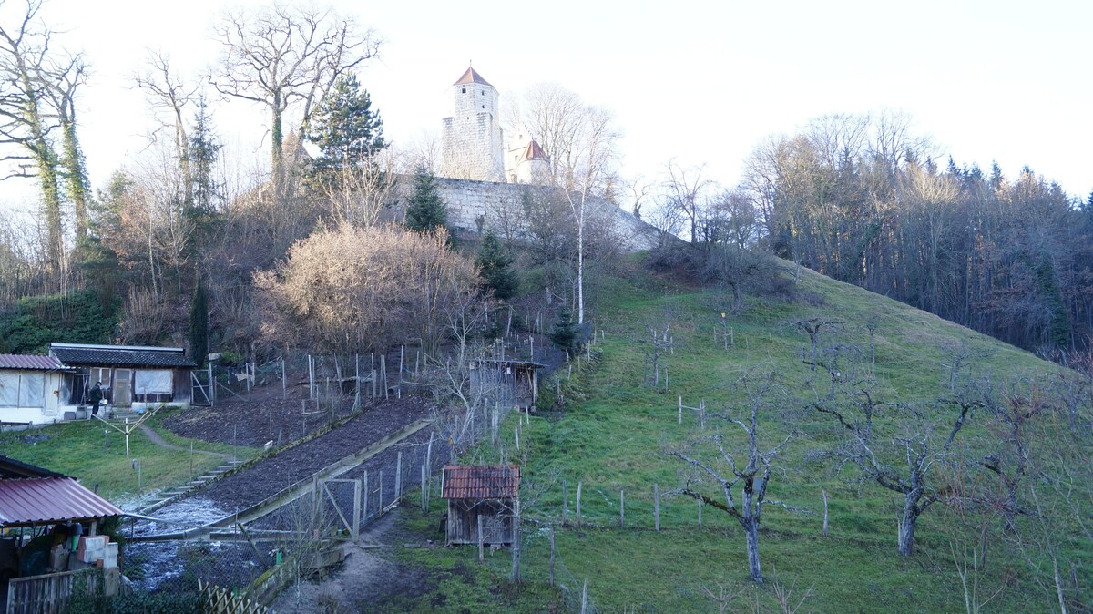 Dreibettzimmer-Ensuite Dusche- Landgasthof Falken