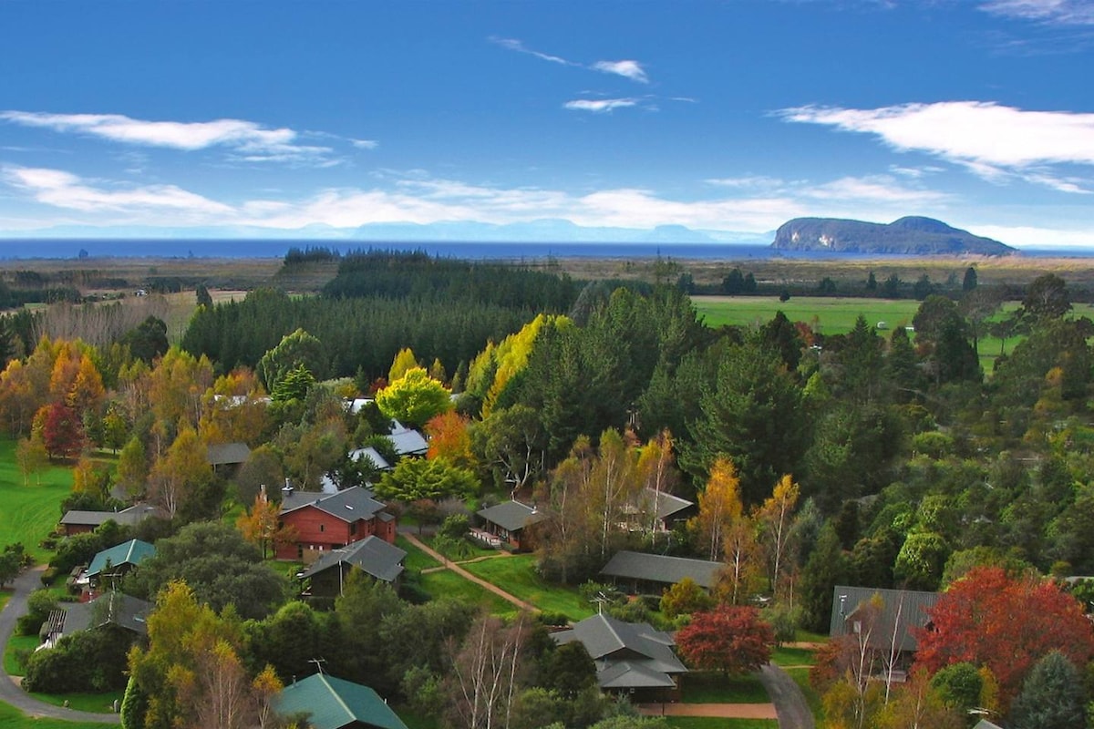 Tongariro Lodge 2卧室小型别墅