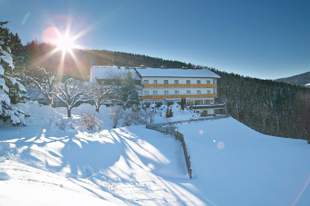 Gasthof-Pension Ödenhof (St. Corona am Wechsel), Dreibettzimmer