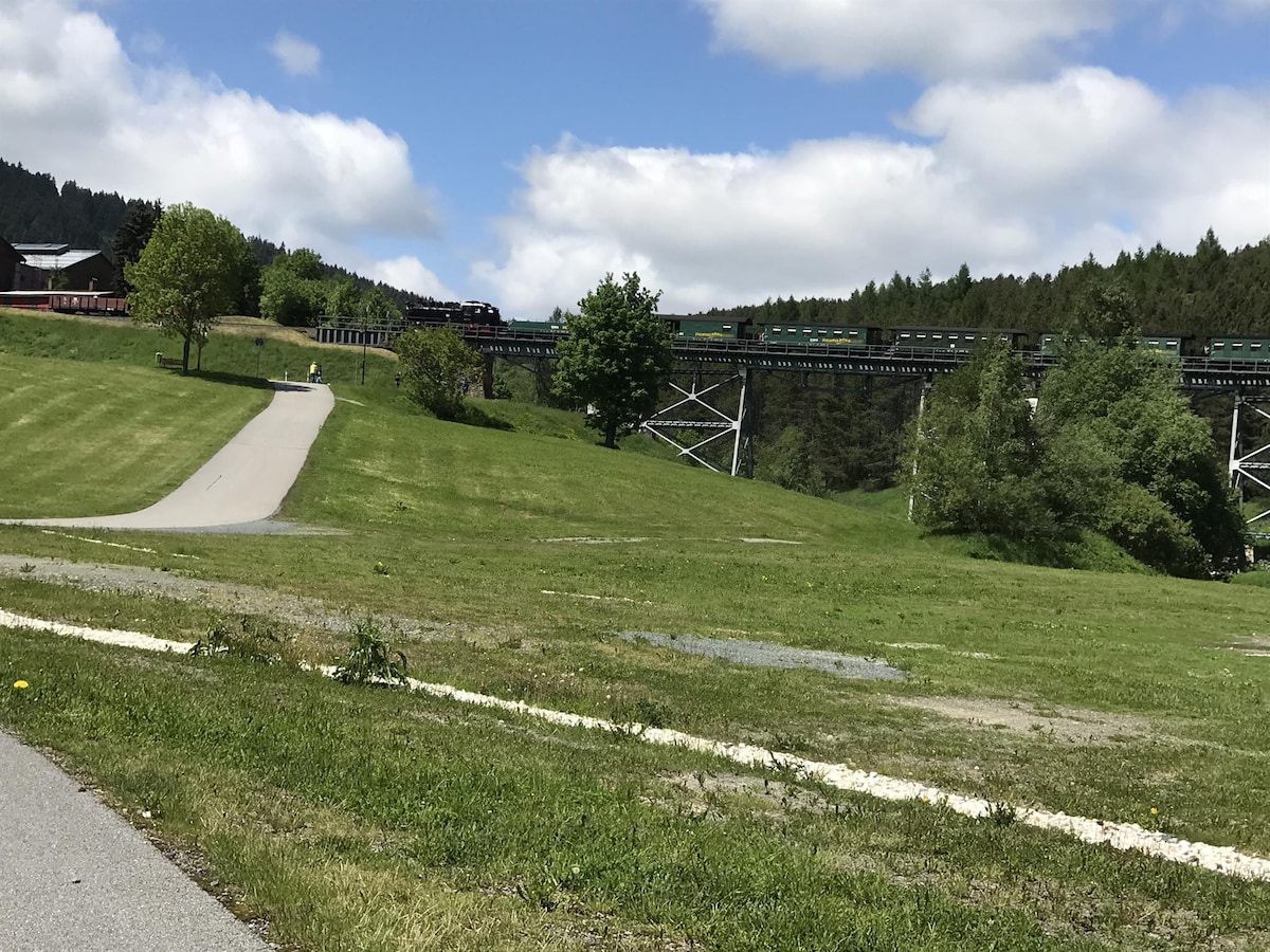 Appartement Typ A (Ferienhaus Fichtelberg)