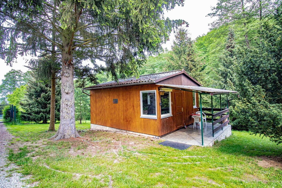 Waldfrieden Holzbungalow (146168)