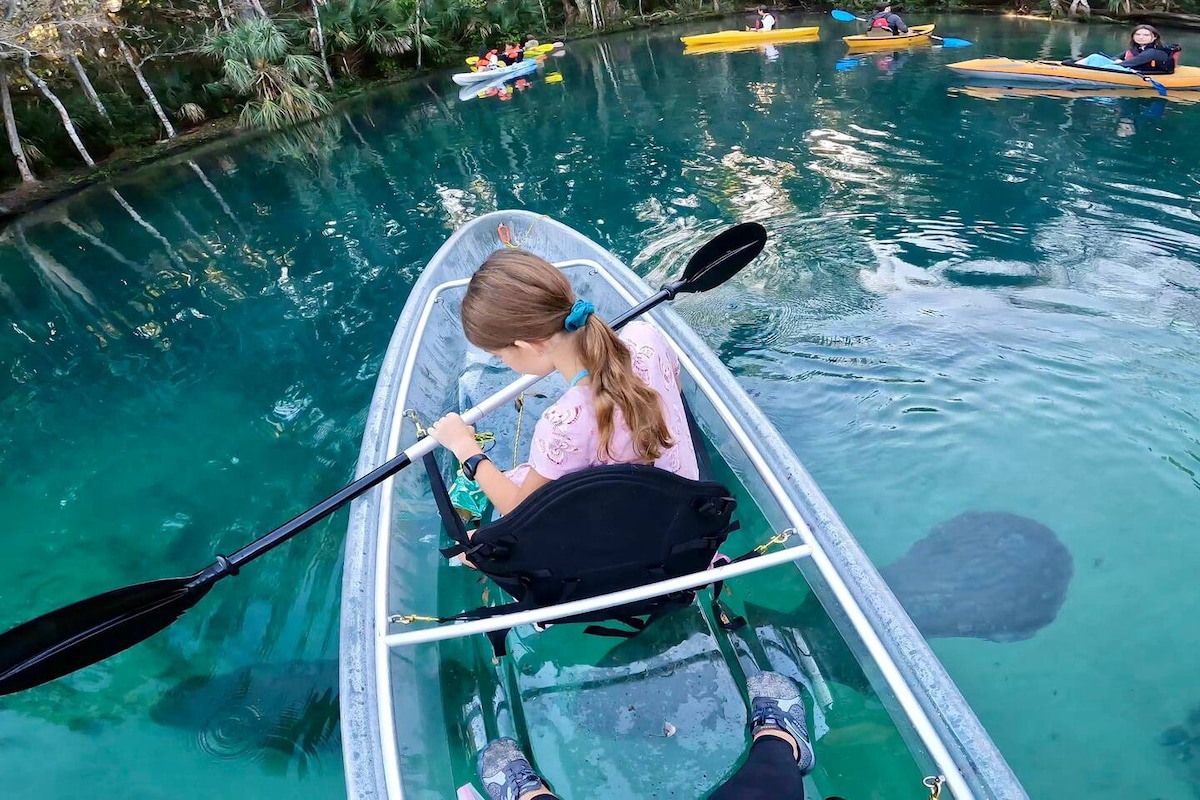 夏季度假：海滨、透明皮划艇、火坑