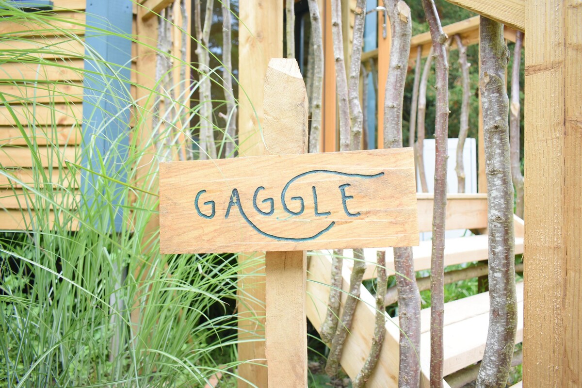Gaggle Cabin