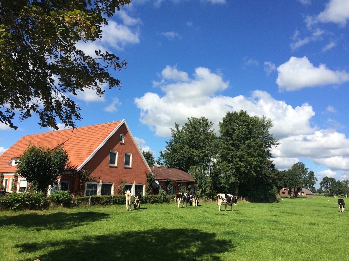 Ferienhaus für 10 Gäste mit 500m² in Backemoor (157585)