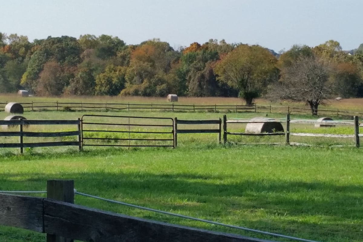 Pleasant Hills Farm Stargazer Farmstay