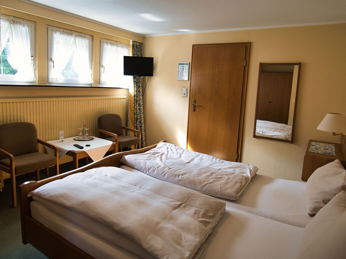Hotel Holländer Hof ， （ Meschede ） ，标准双人客房