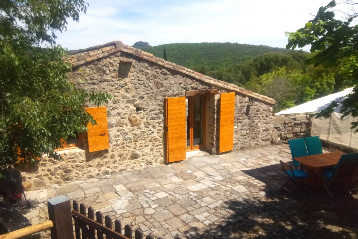 Cottage with private pool in Cévennes