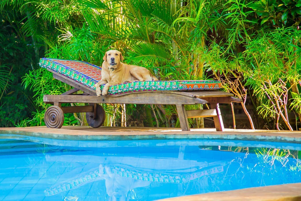 迪亚尼海滩（ Diani beach ）完美无瑕、迷人的3床小屋