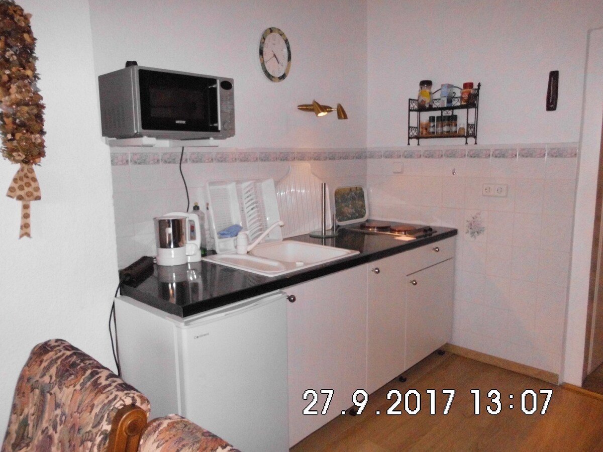 Familienferienwohnung im Haus Ludwig (Masserberg), Große Familienferienwohnung (95qm) mit Wohnküche und 2 Schlafräumen