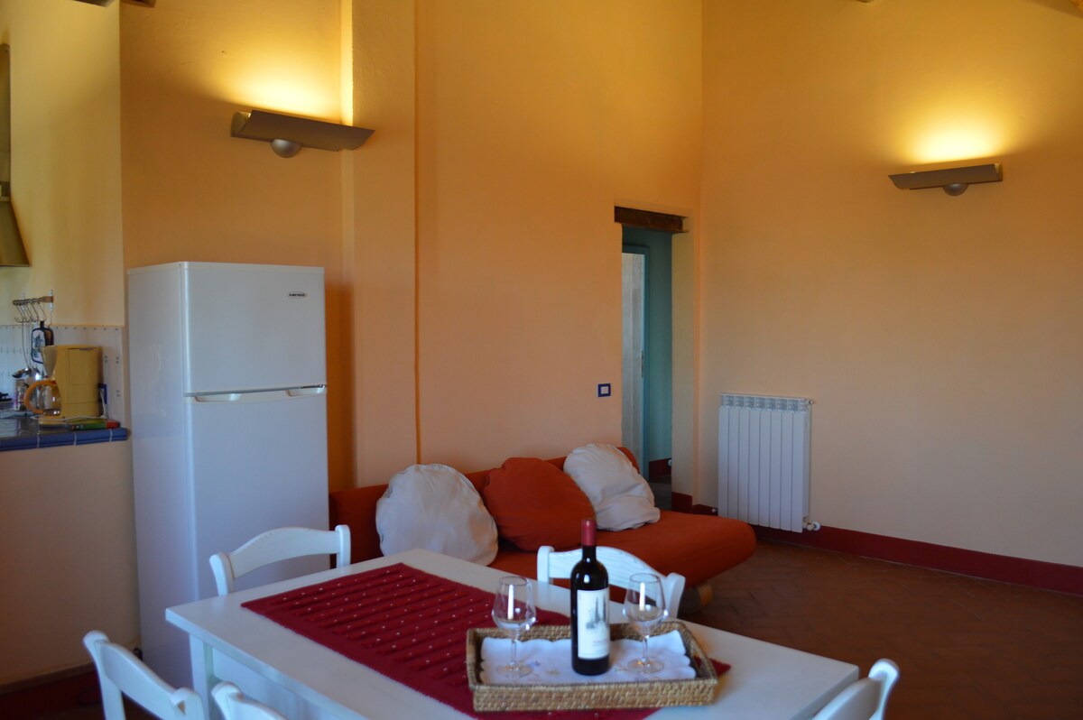 Holiday apartment with swimming pool, strade bianche, swimming pool, view