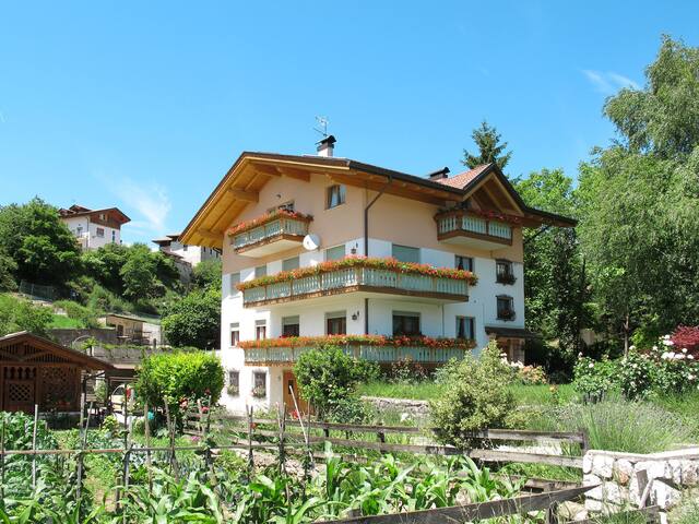 Trentino-South Tyrol的民宿