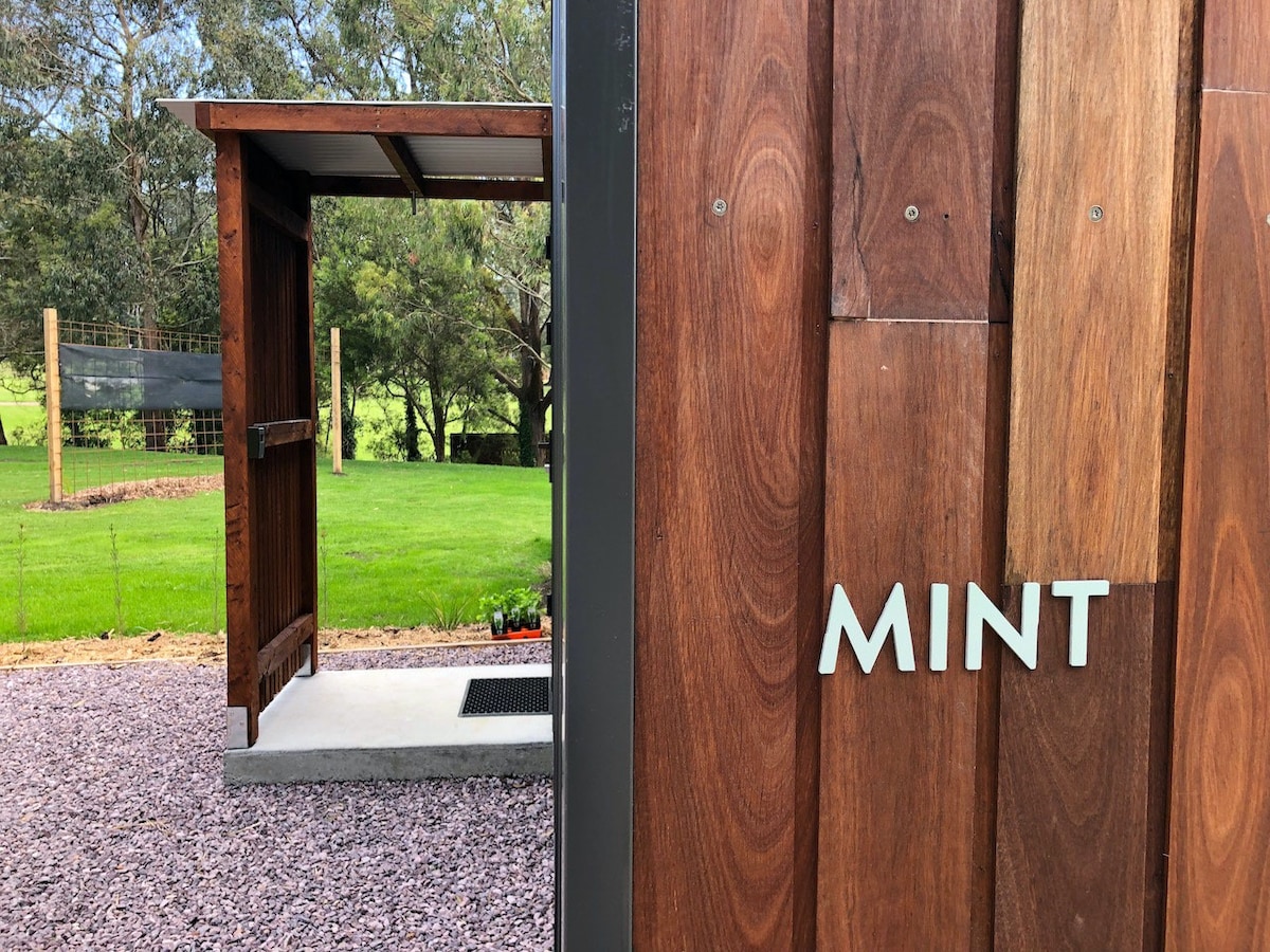 NEW Luxury Tiny Homes Mint