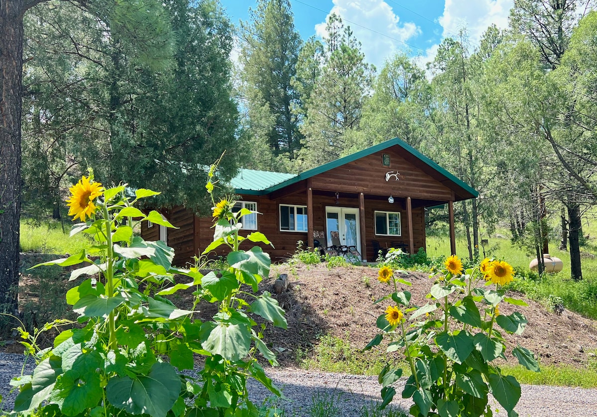 Salt Creek Cabin in the Gila