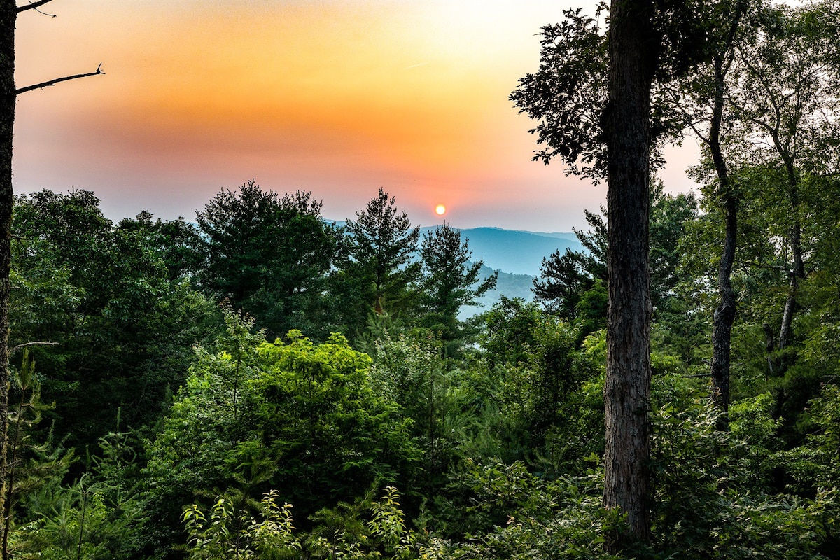 Blue Ridge - Magic Tree House