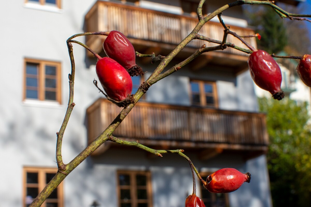 Ferienwohnung Birke