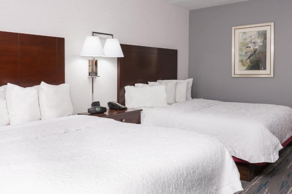 汉普顿酒店和套房奥兰多机场的客房，配备2张标准双人床