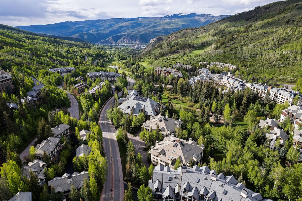 Larkspur Lodge - walk to ski lift and BC Village