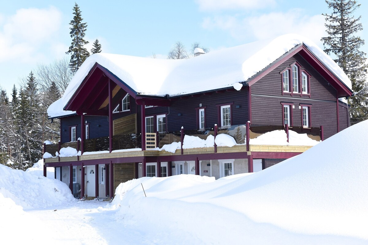 Cosy apartment in Sälen, Dalarna