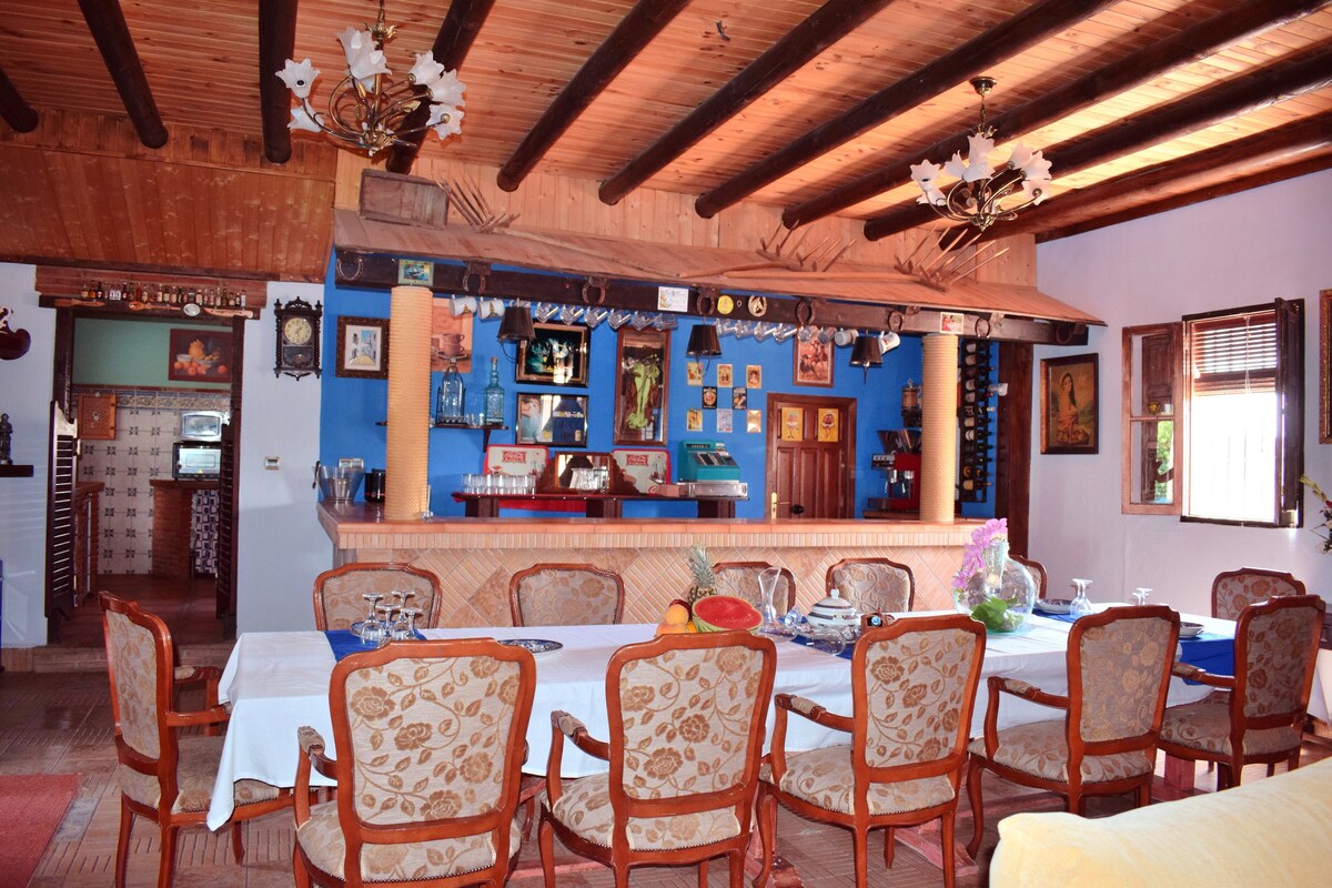 Villa for 18 ppl. with swimming-pool at Palenciana