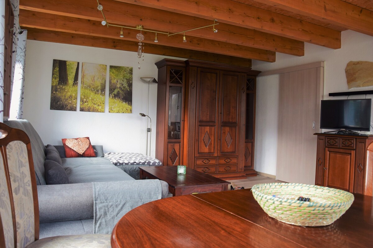 Bad Salzungen可容纳3位房客的60平方米度假屋（ 71222 ）