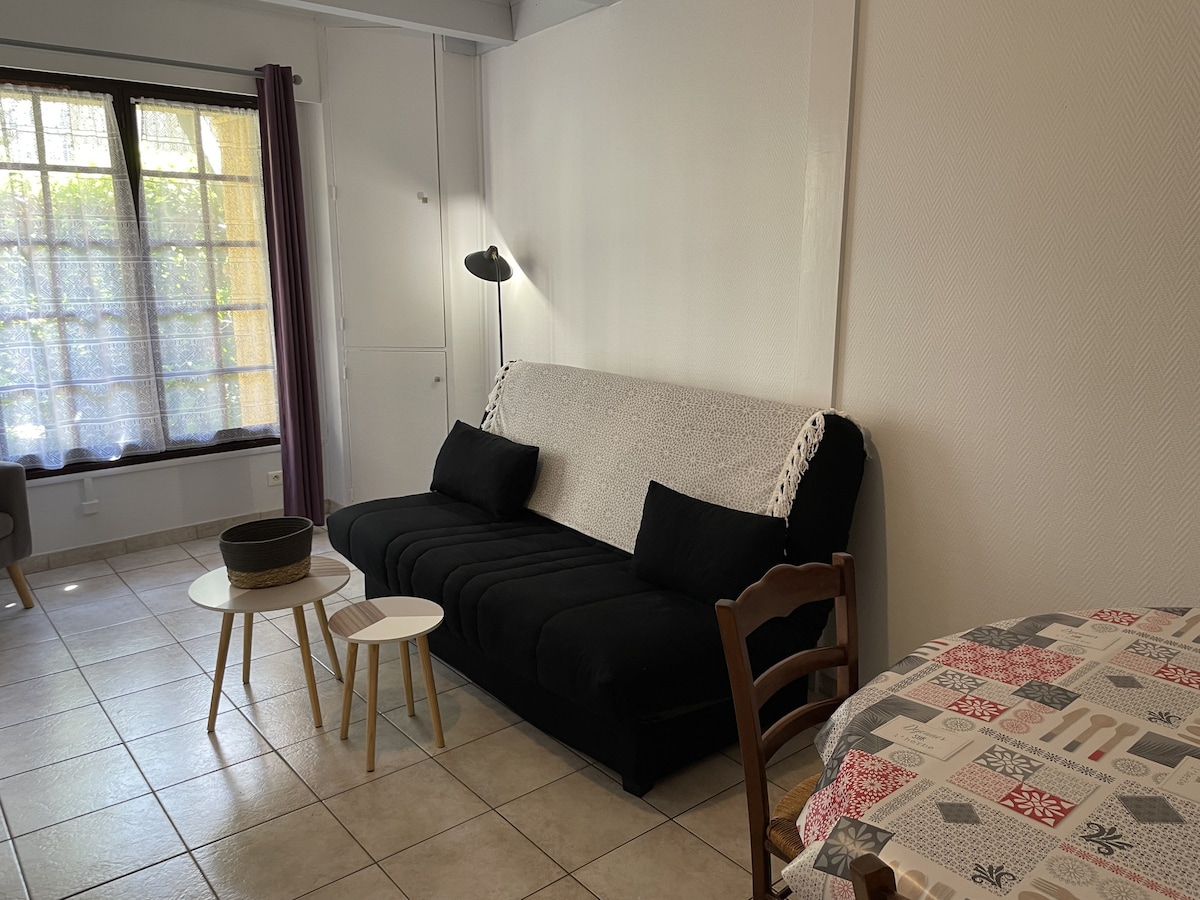 Aix-les-Bains公寓，单间公寓， 4人。