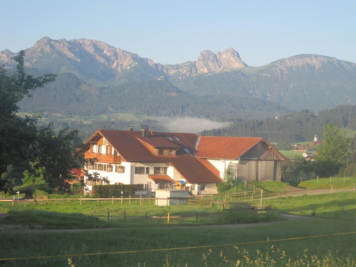 Neu renoviertes Appartement mit Südbalkon und Blick auf Neuschwanstein (Haus Echtler)