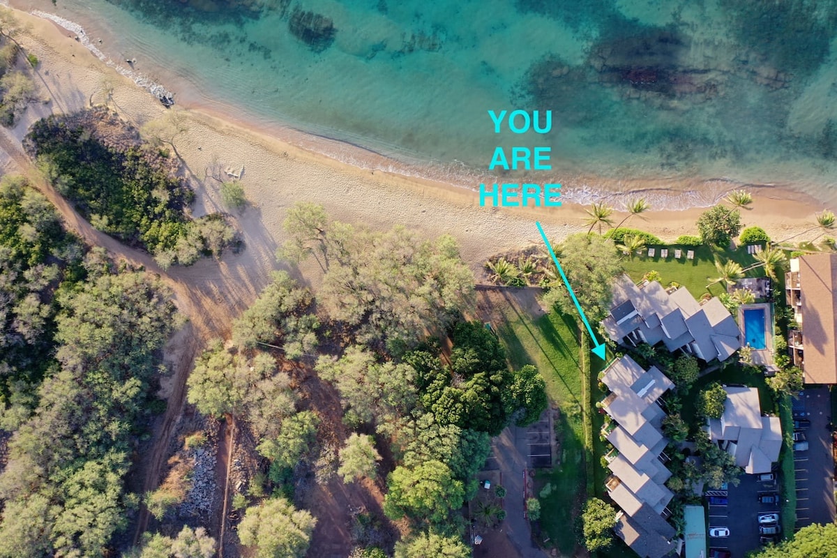 现代、干净、宽敞的毛伊岛海滨公寓