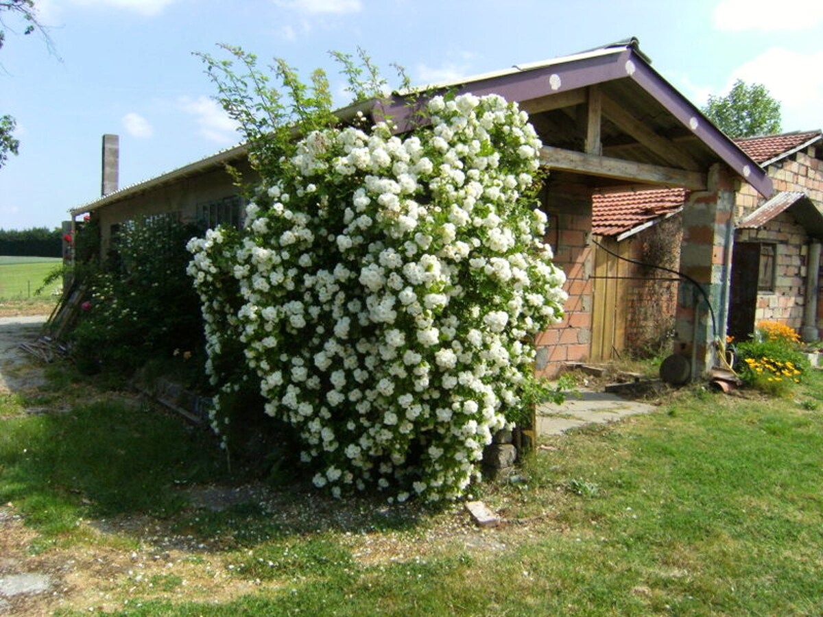 House for 8 ppl. with shared pool at Moissac