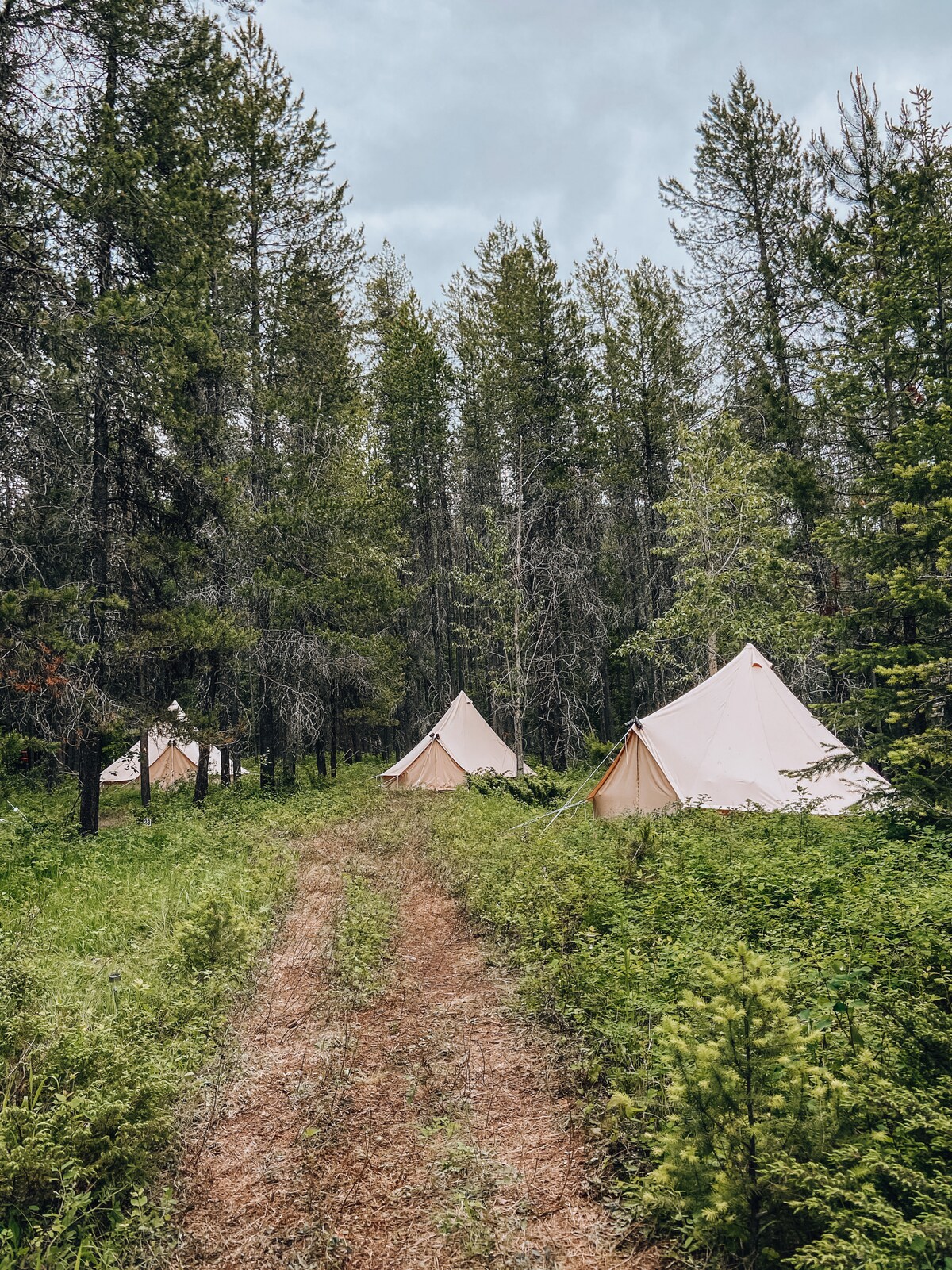 Wander Camp Glacier - King Tent