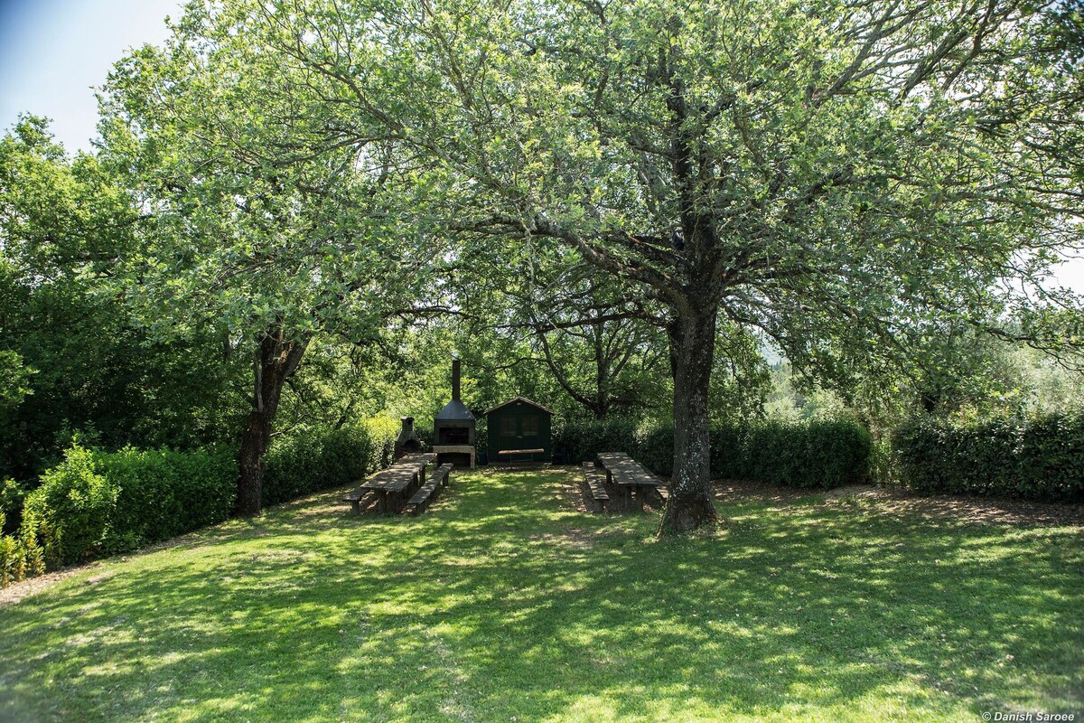 Agriturismo La Papessa - Ibisco Ap. 2