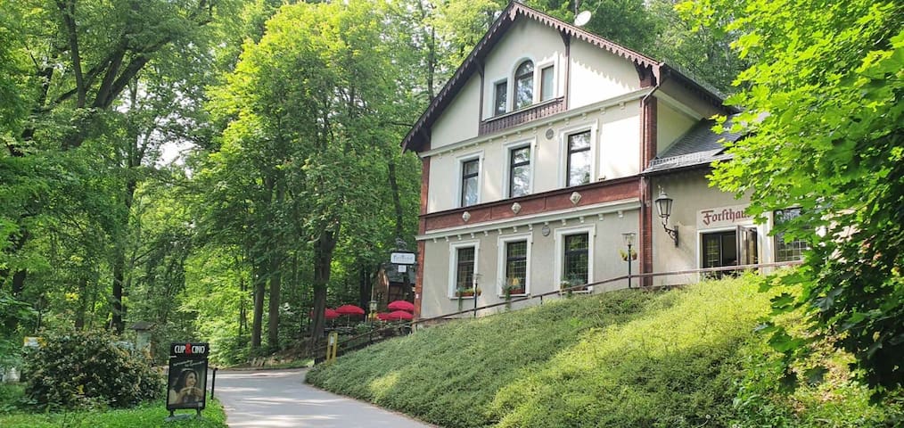 Crimmitschau的民宿