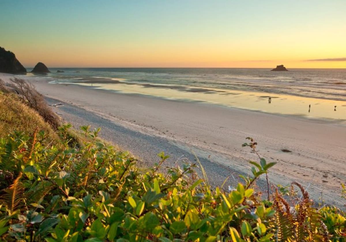 Arch Cape Escape by AvantStay | Clifftop Views