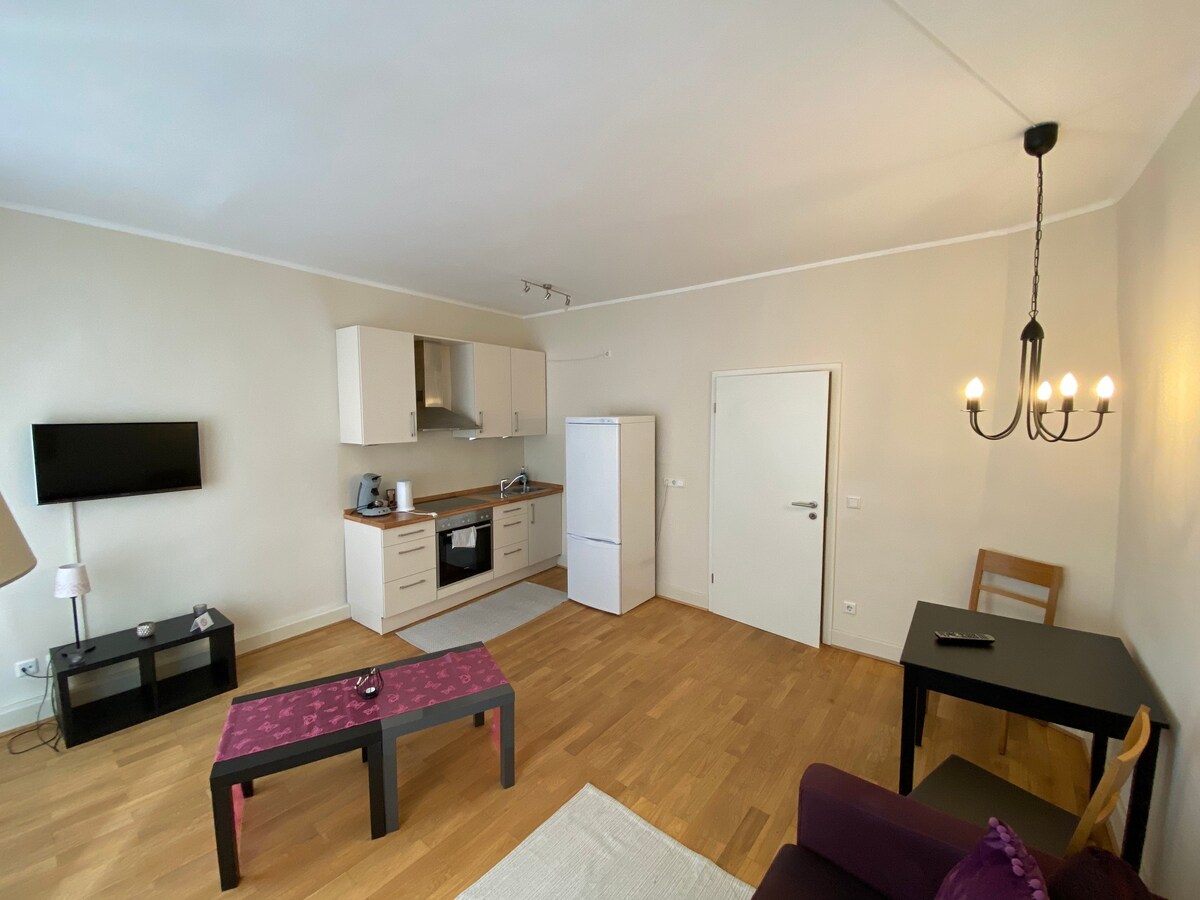 海德堡45平方米可容纳2位房客的公寓（ 160454 ）