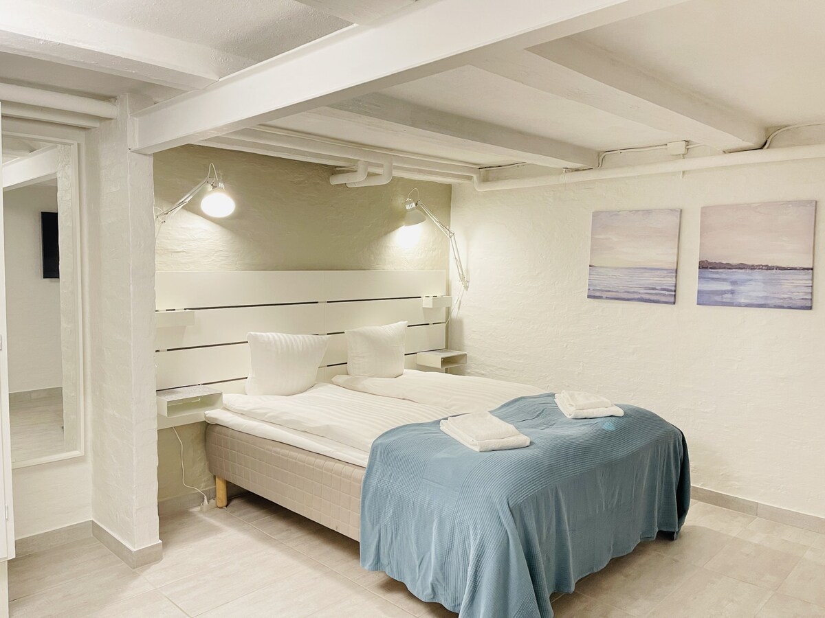 aday - Aalborg Mansion - Charming 3 Bedroom Apartm