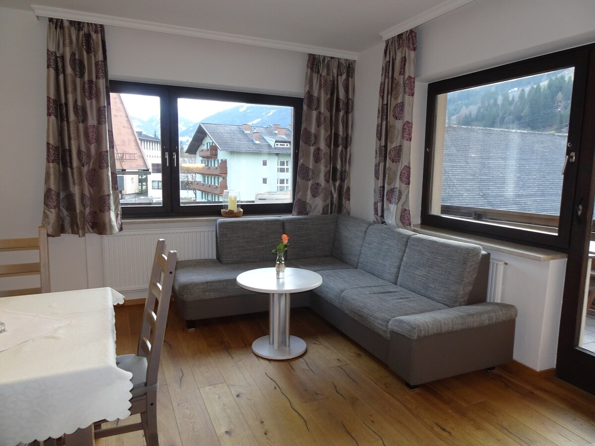 Bad Hofgastein可容纳5位房客的公寓，面积54平方米（ 163556 ）