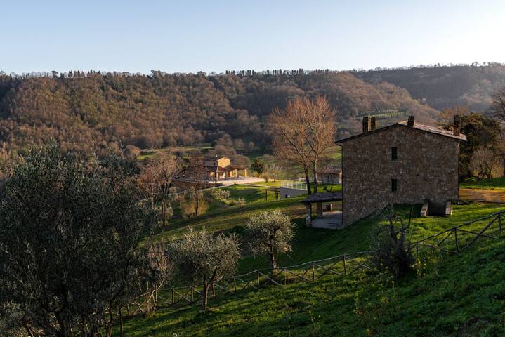 巴尼奥雷焦 (Bagnoregio)的民宿