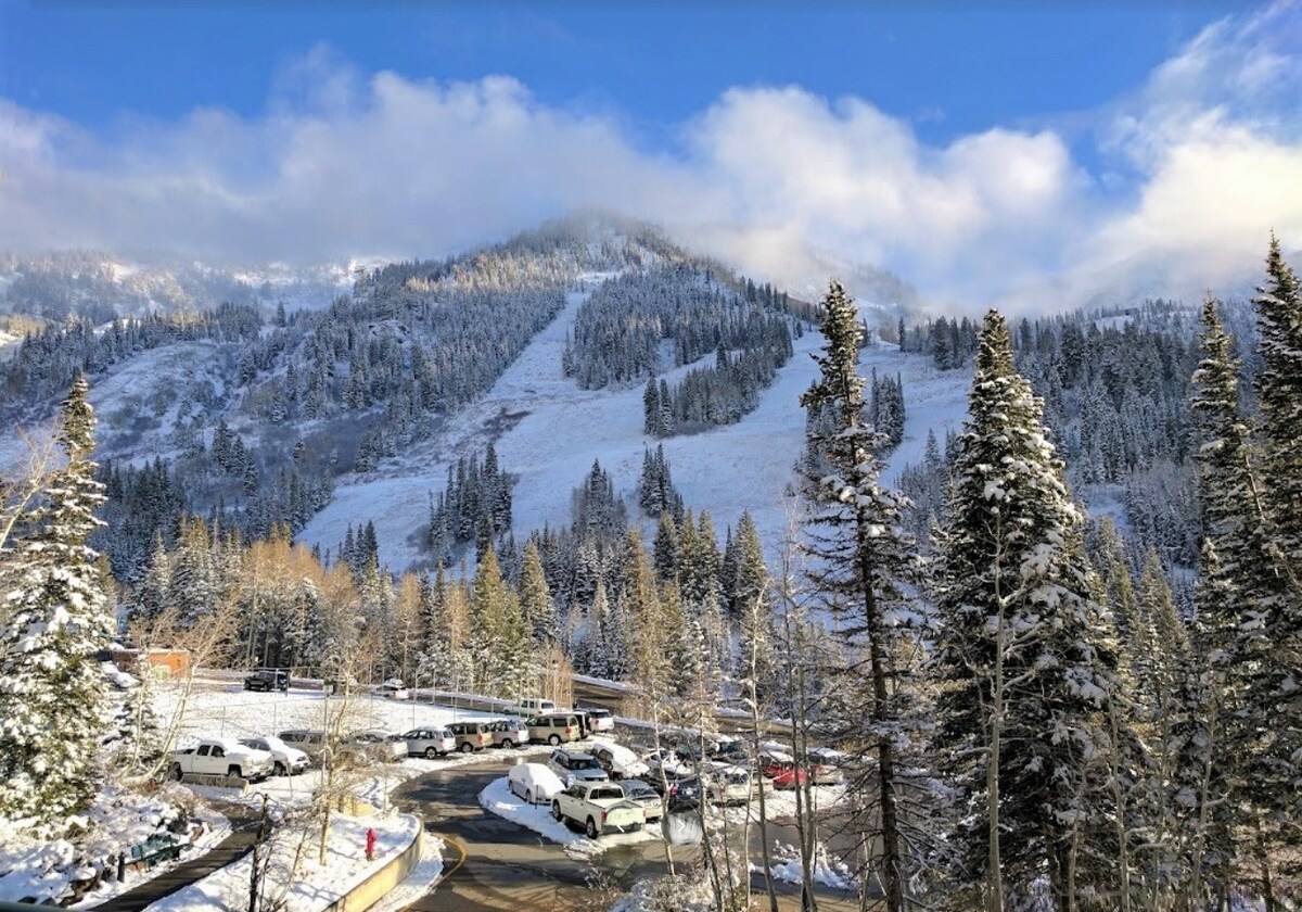 Condo Right on the Snowbird Slopes!