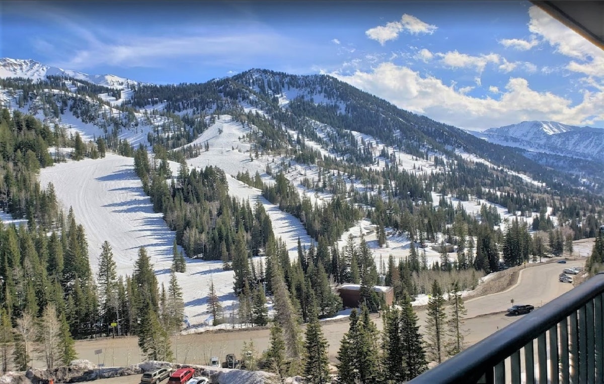 Condo Right on the Snowbird Slopes!