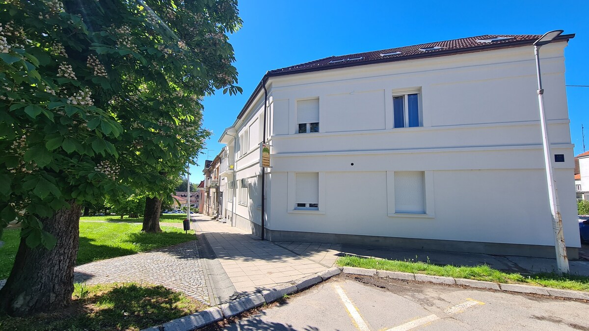 S-18842-f Room with air-conditioning Daruvar,