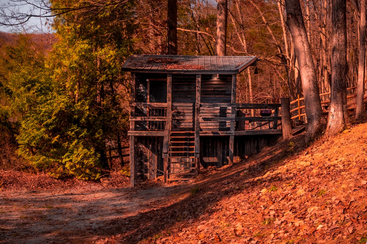 Glamping Cabin |巨大的窗户|自然爱好者梦想