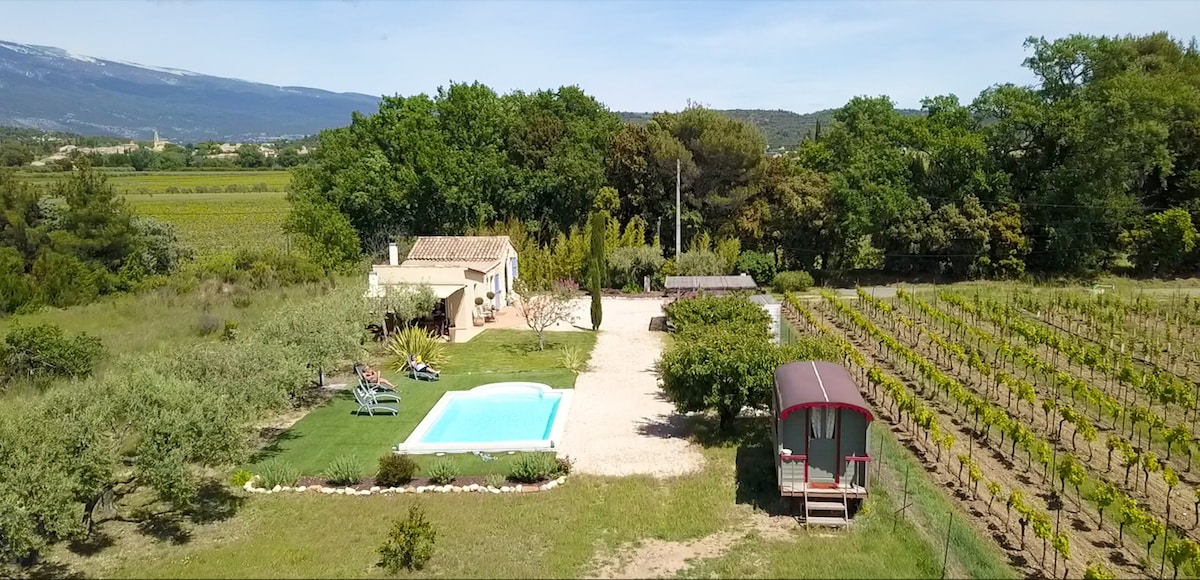 House for 6 ppl. with swimming-pool at Modène