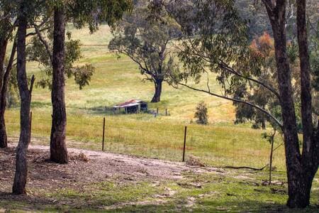 Lilly Rose Family Farmstay