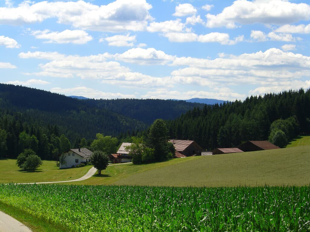 Ferienwohnung Wiesenblick (Ferienhof Schmalzgrub)