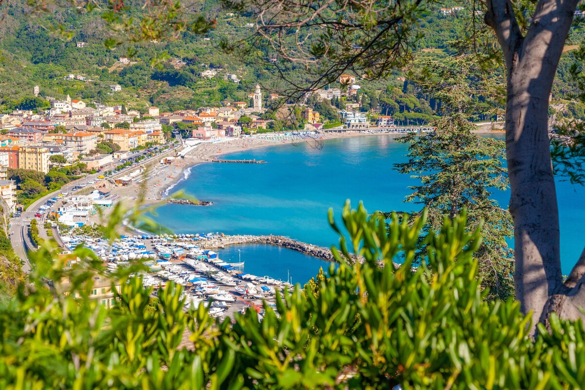 Il Giardino Sul Mare - Levanto - Il Giardino Sul M