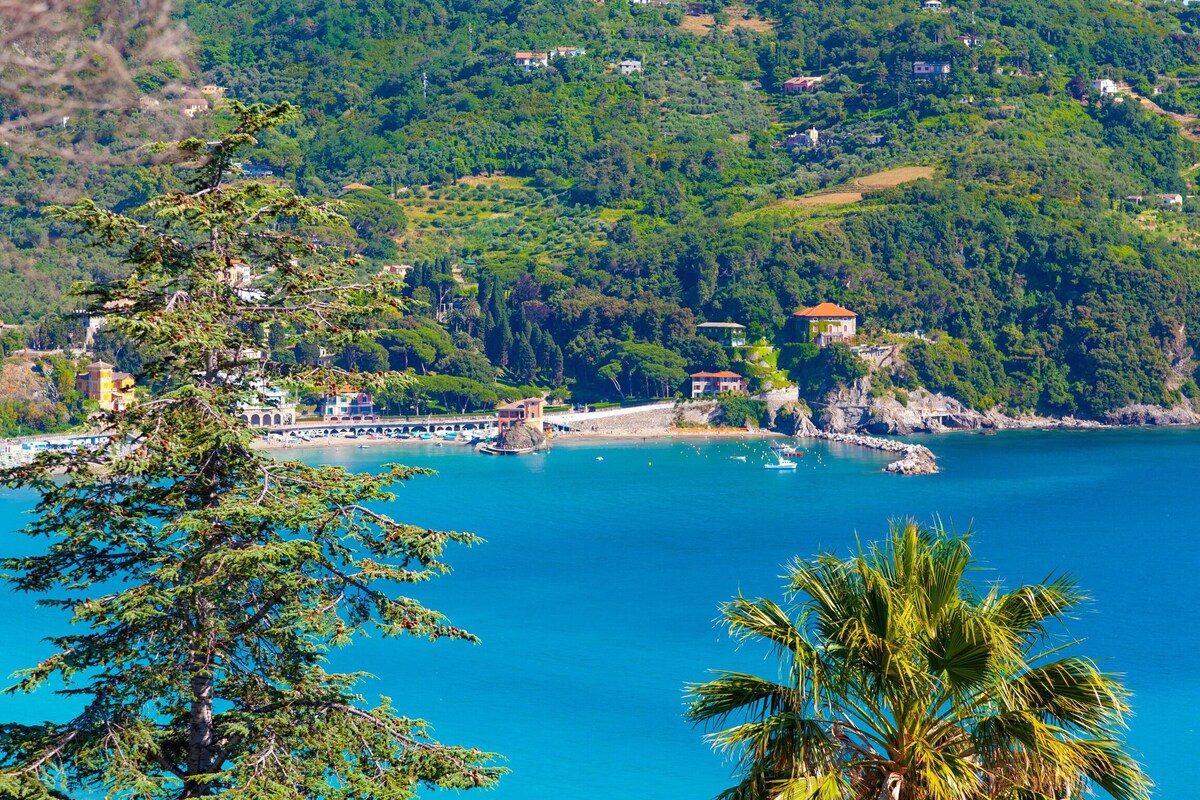 Il Giardino Sul Mare - Levanto - Il Giardino Sul M