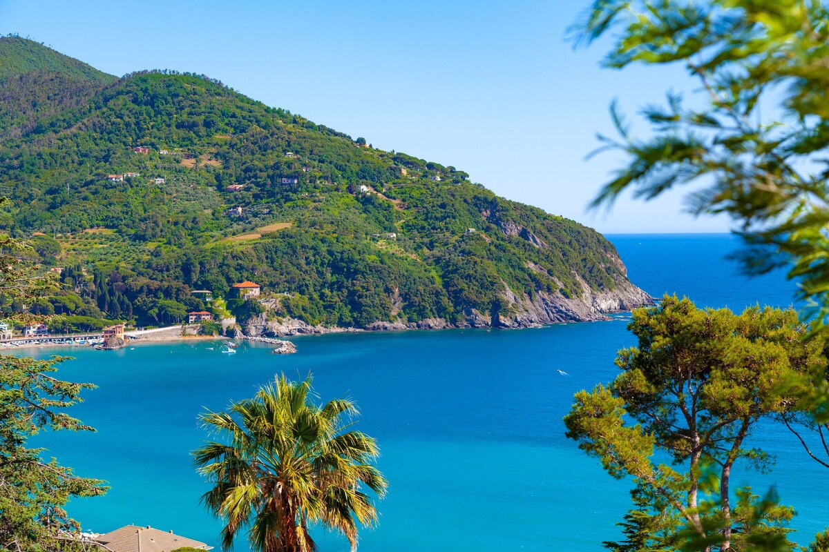 Il Giardino Sul Mare - Levanto - Il Giardino Sul M