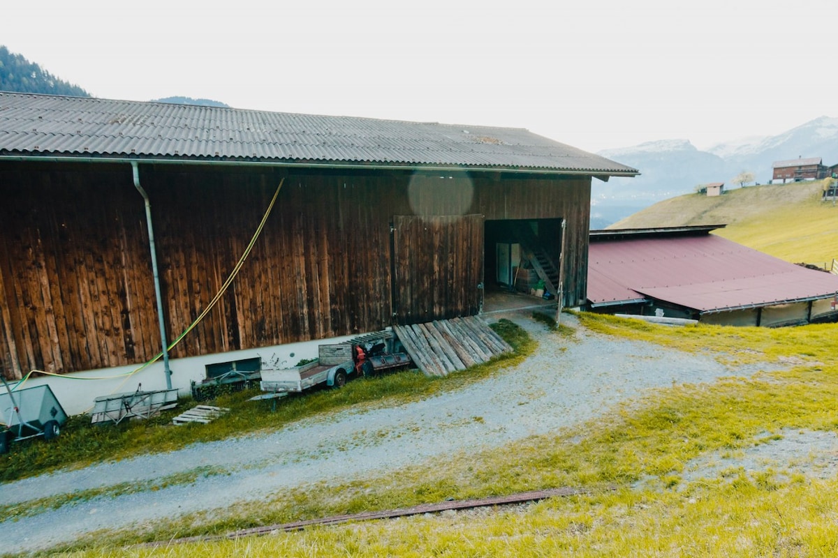 在Graubünden拥有独特景观的星级套房
