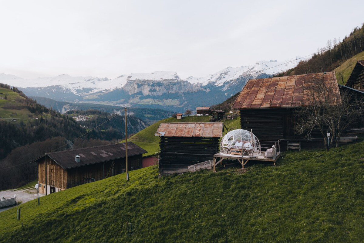 在Graubünden拥有独特景观的星级套房