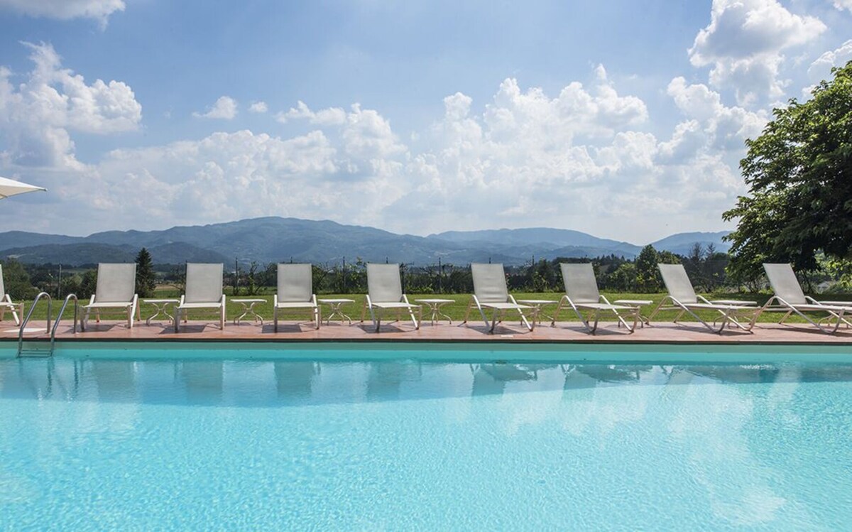 令人惊叹的Medicea Tuscan别墅，设有高达31人的泳池