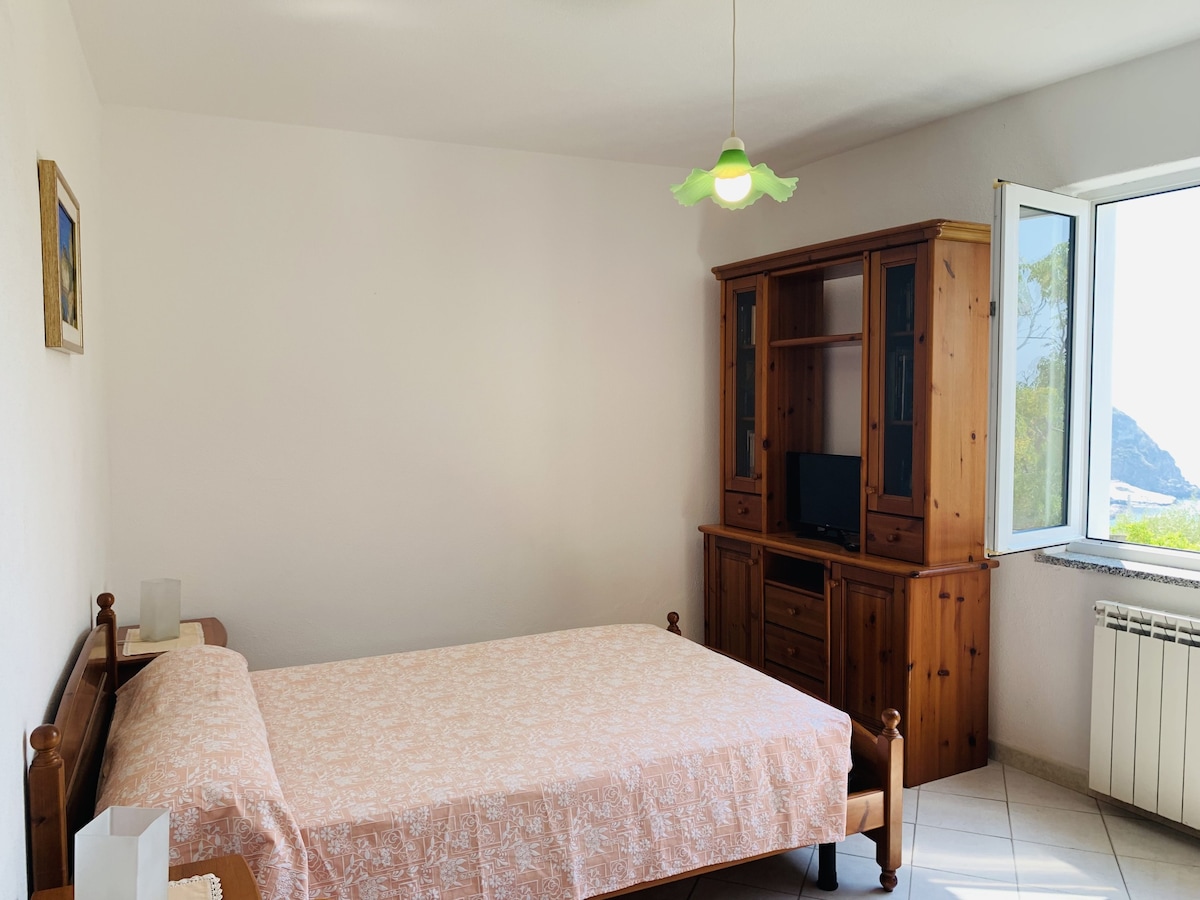 Basic Room  @Pensione Casa Verde - Ischia